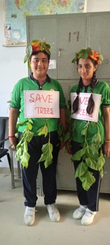 save-trees-activity (1)